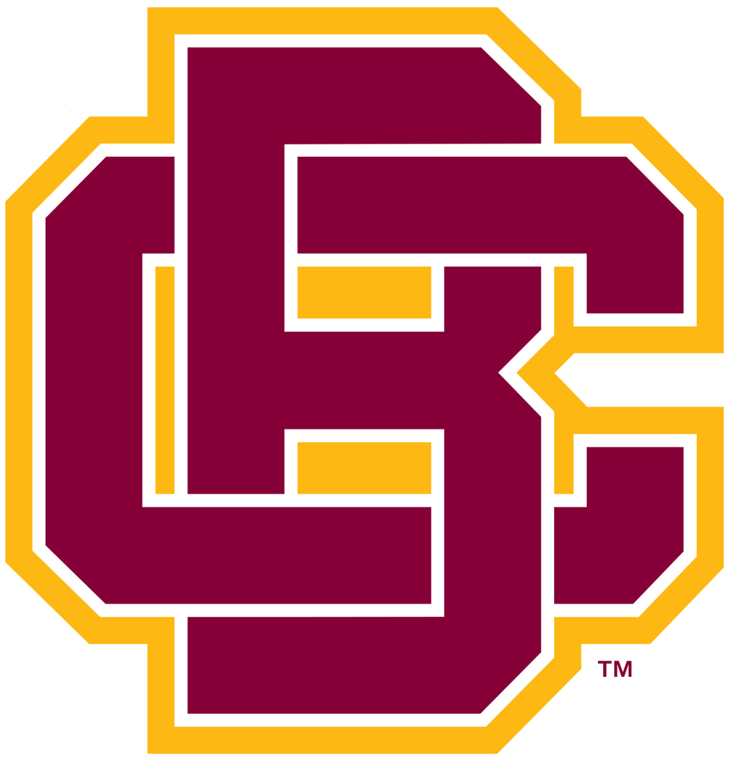 Bethune-Cookman Wildcats iron ons